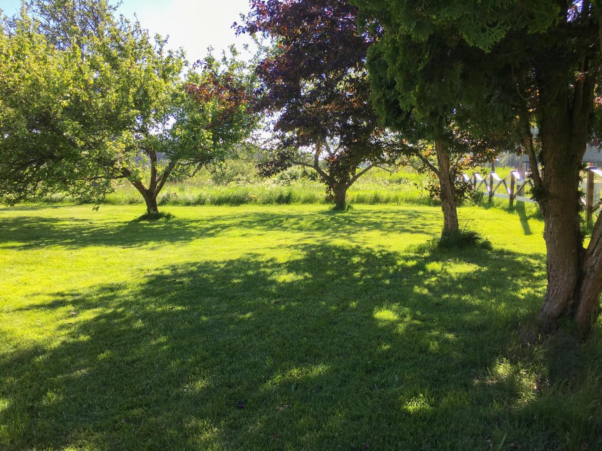 Orreklaepp Villa Tanumshede Oda fotoğraf